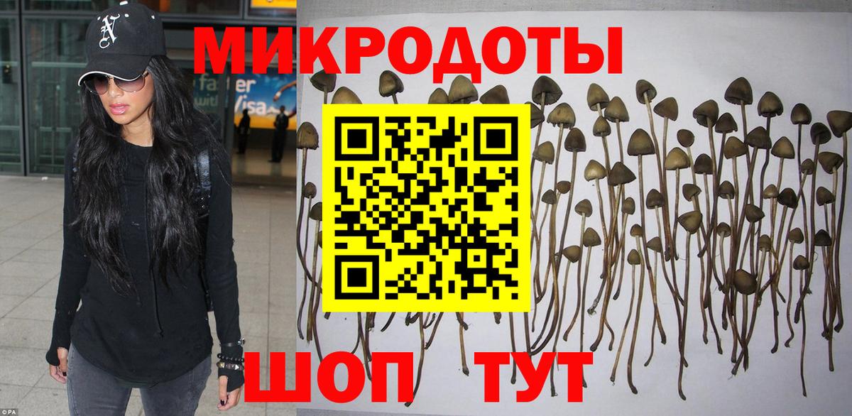 Галлюциногенные грибы MAGIC MUSHROOMS  Псилоцибиновые грибы ЛСД  Ангарск  Вход с VPN 