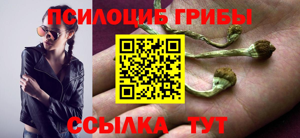 Псилоцибиновые грибы мицелий Ангарск